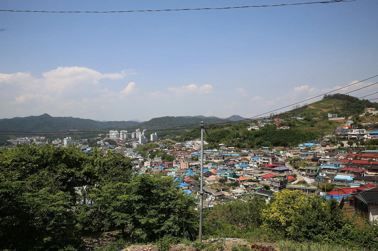 MG0A0159_новый размер.JPG