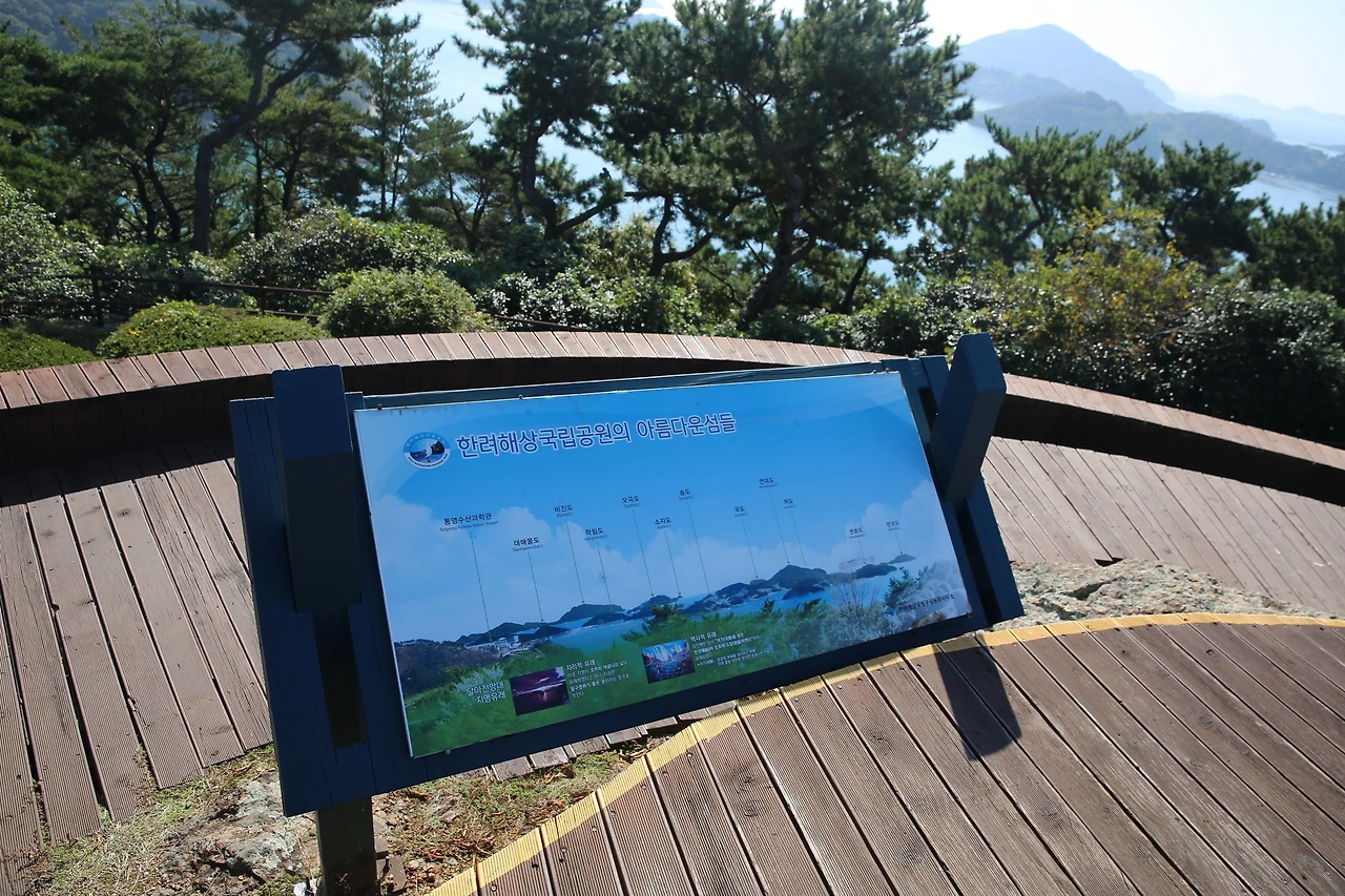 MG0A9176_новый размер.JPG