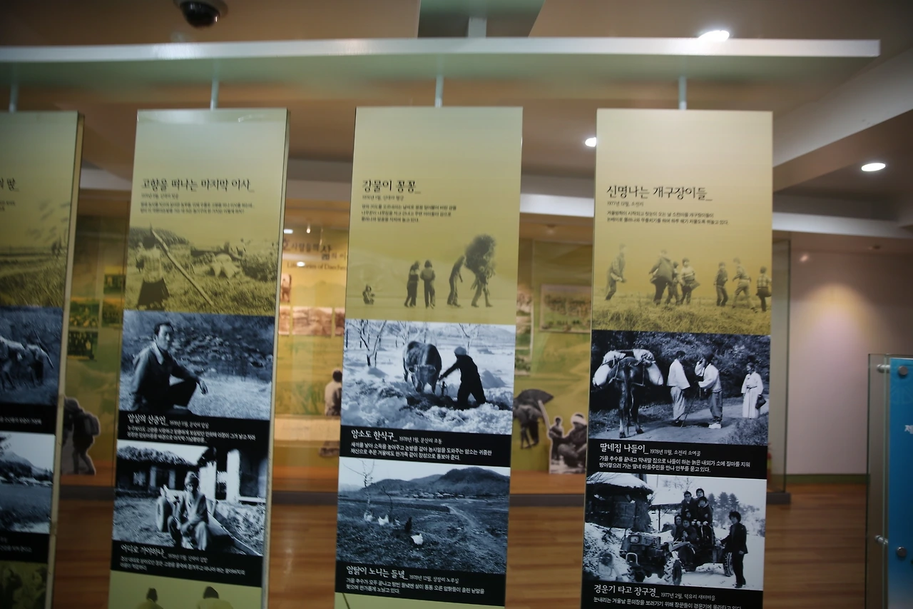 MG0A8463_новый размер.JPG