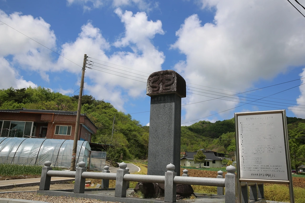 MG0A0743_новый размер.JPG