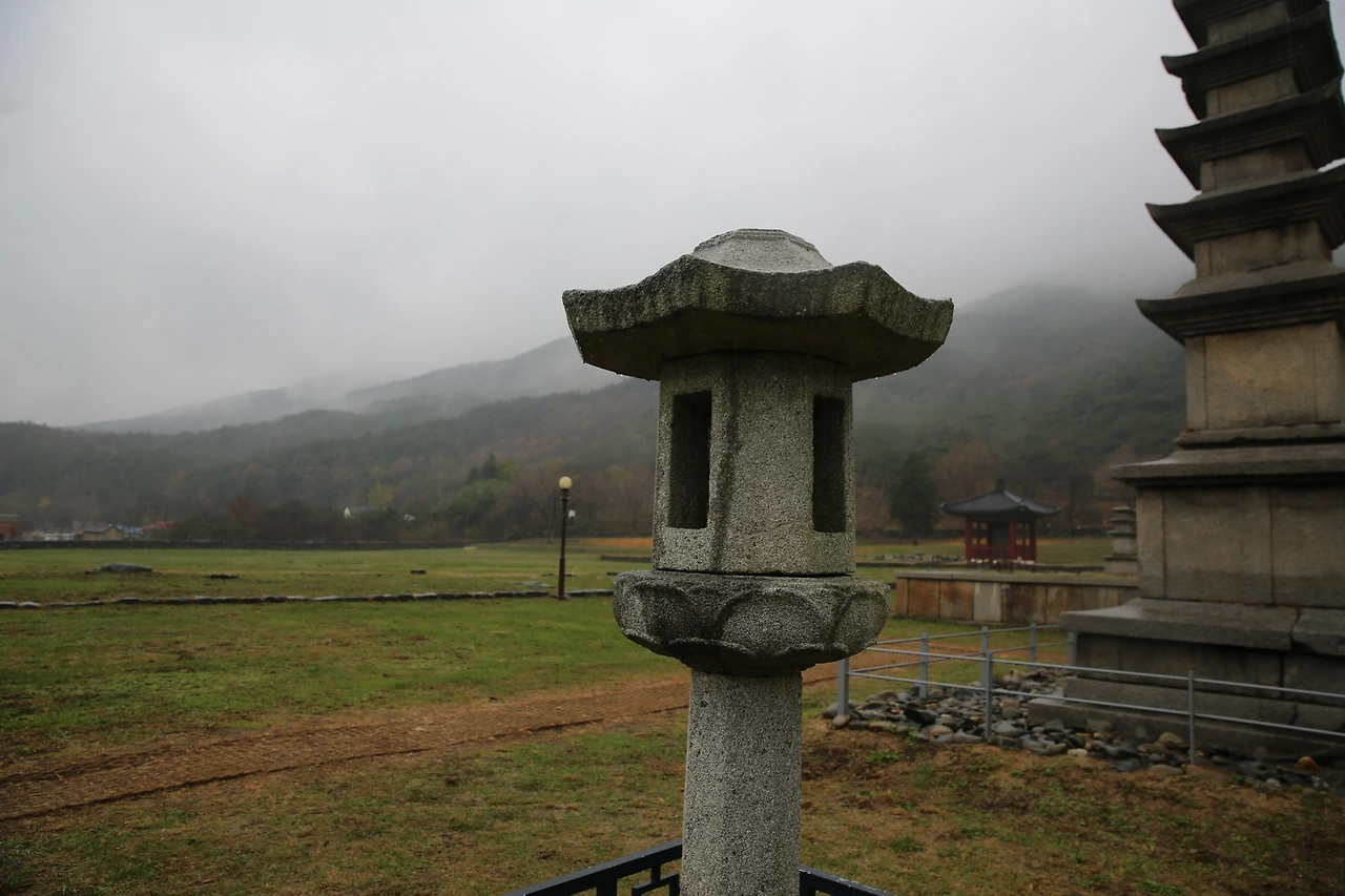 MG0A0906_новый размер.JPG