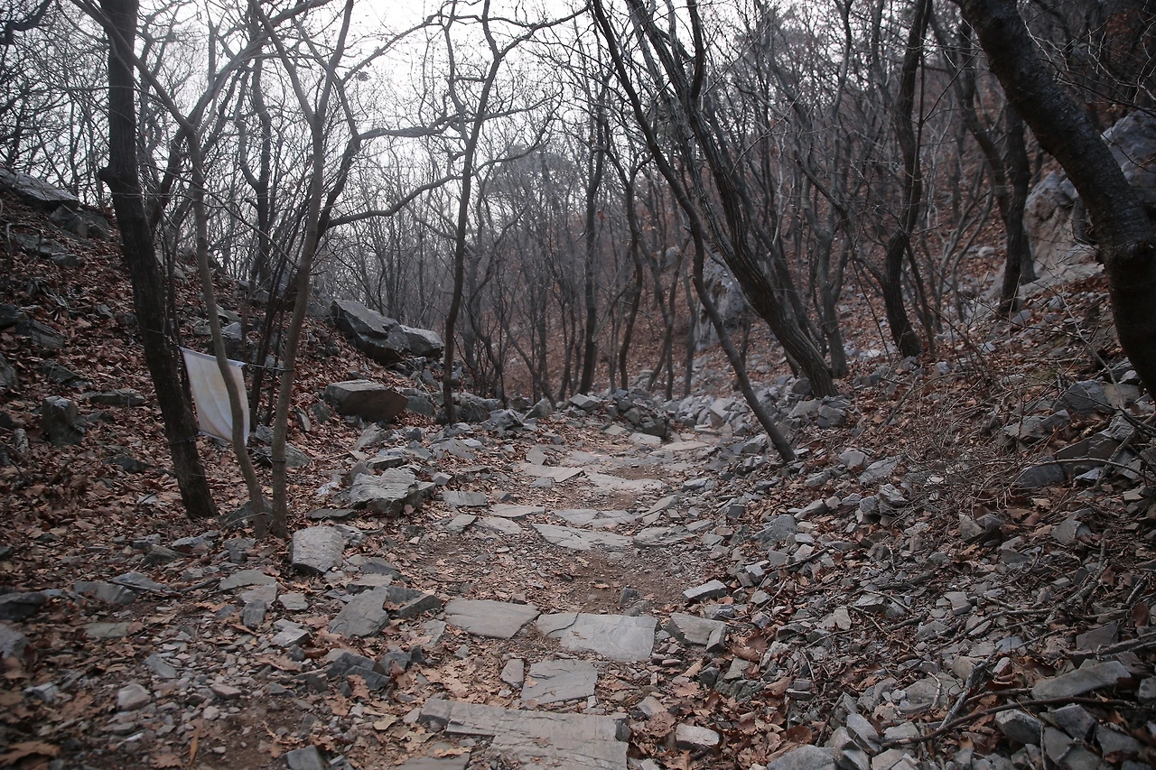 황금산05.JPG