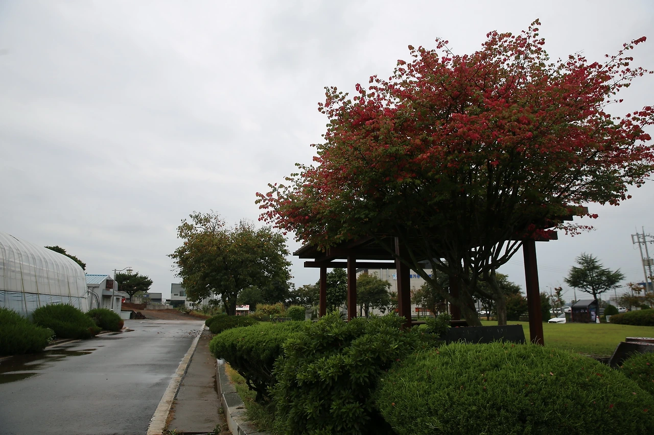 MG0A5039_новый размер.JPG