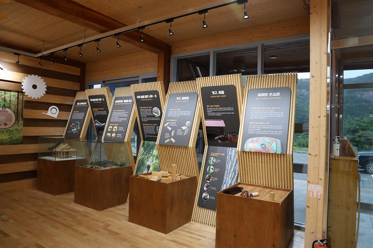 0R5A9082_новый размер.JPG