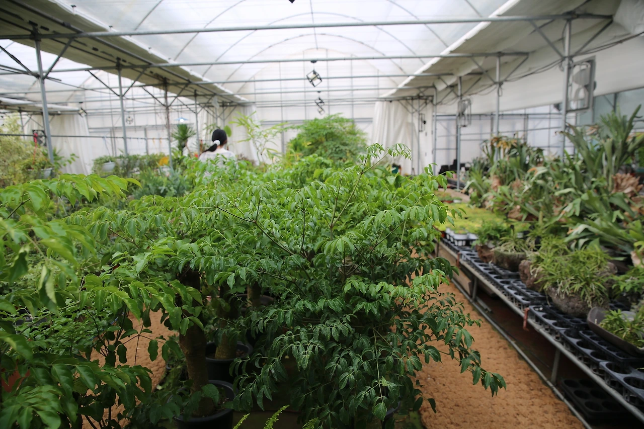 MG0A0659_новый размер.JPG