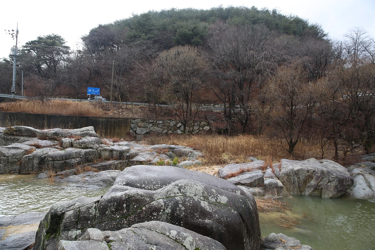 MG0A0293_новый размер.JPG