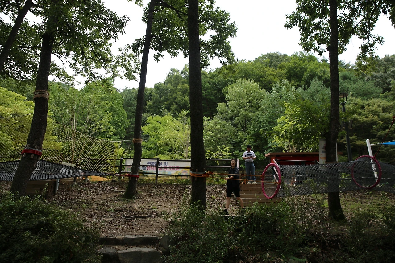 MG0A1018_новый размер.JPG