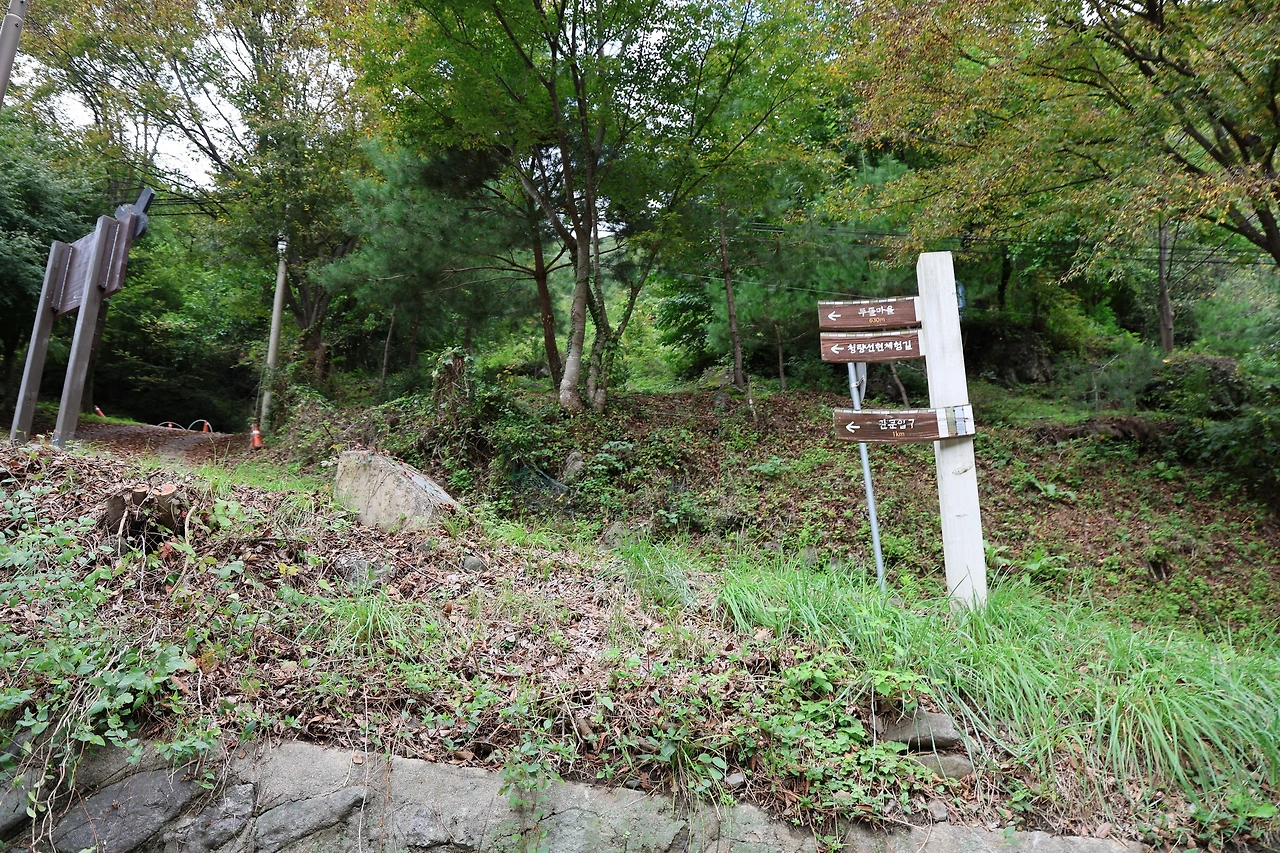 0R5A9775_новый размер.JPG