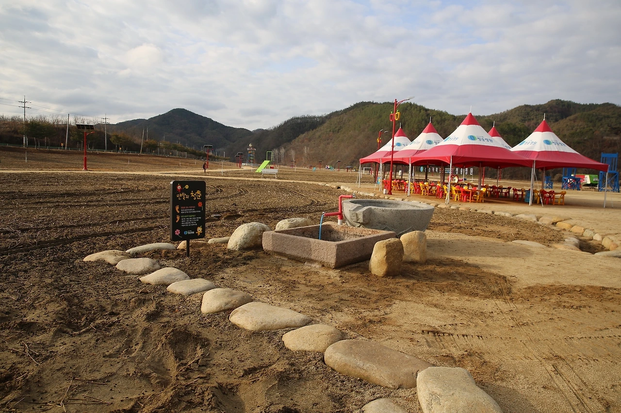 MG0A2568_новый размер.JPG