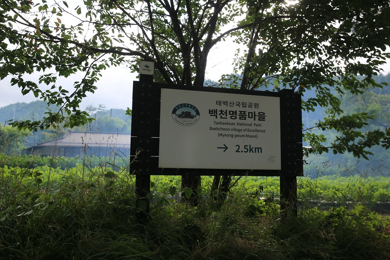 MG0A5014_новый размер.JPG