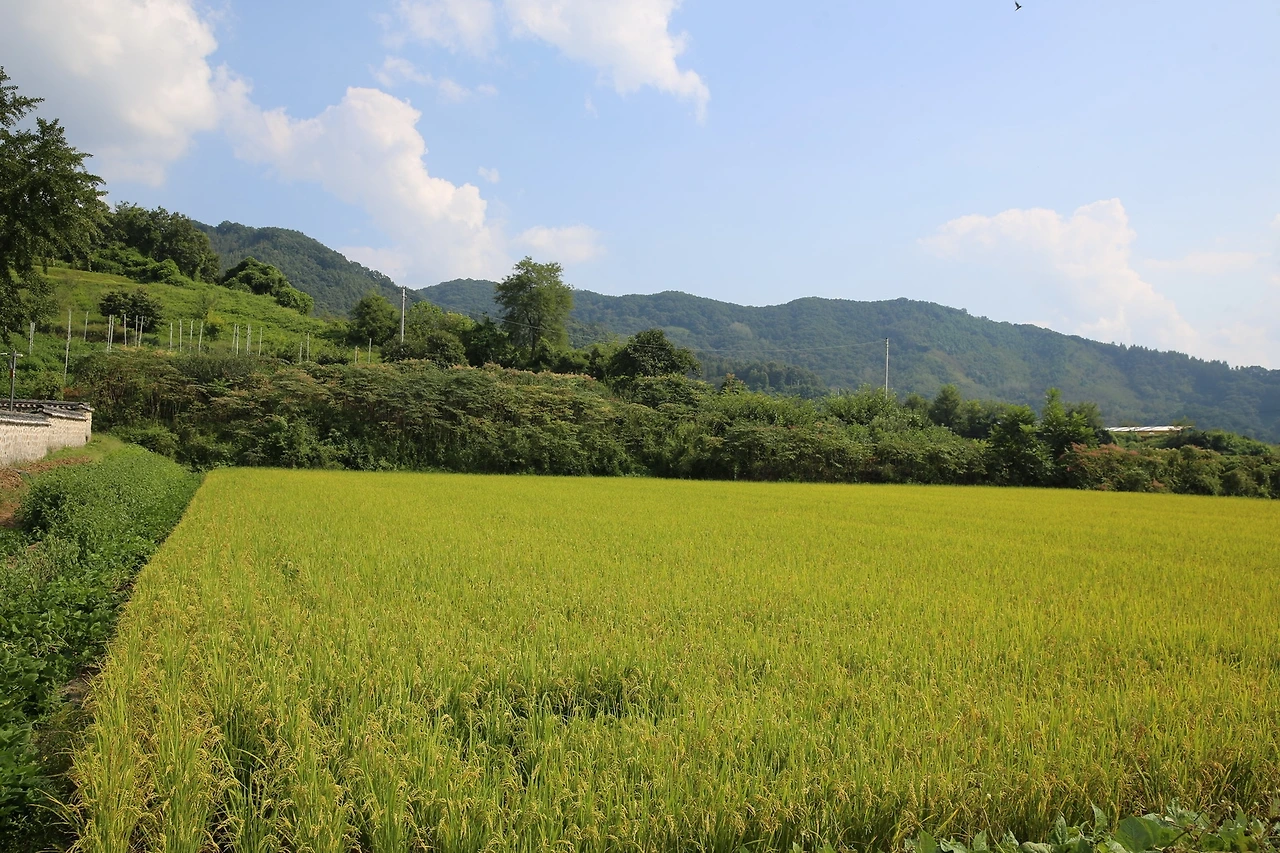 MG0A1545_новый размер.JPG