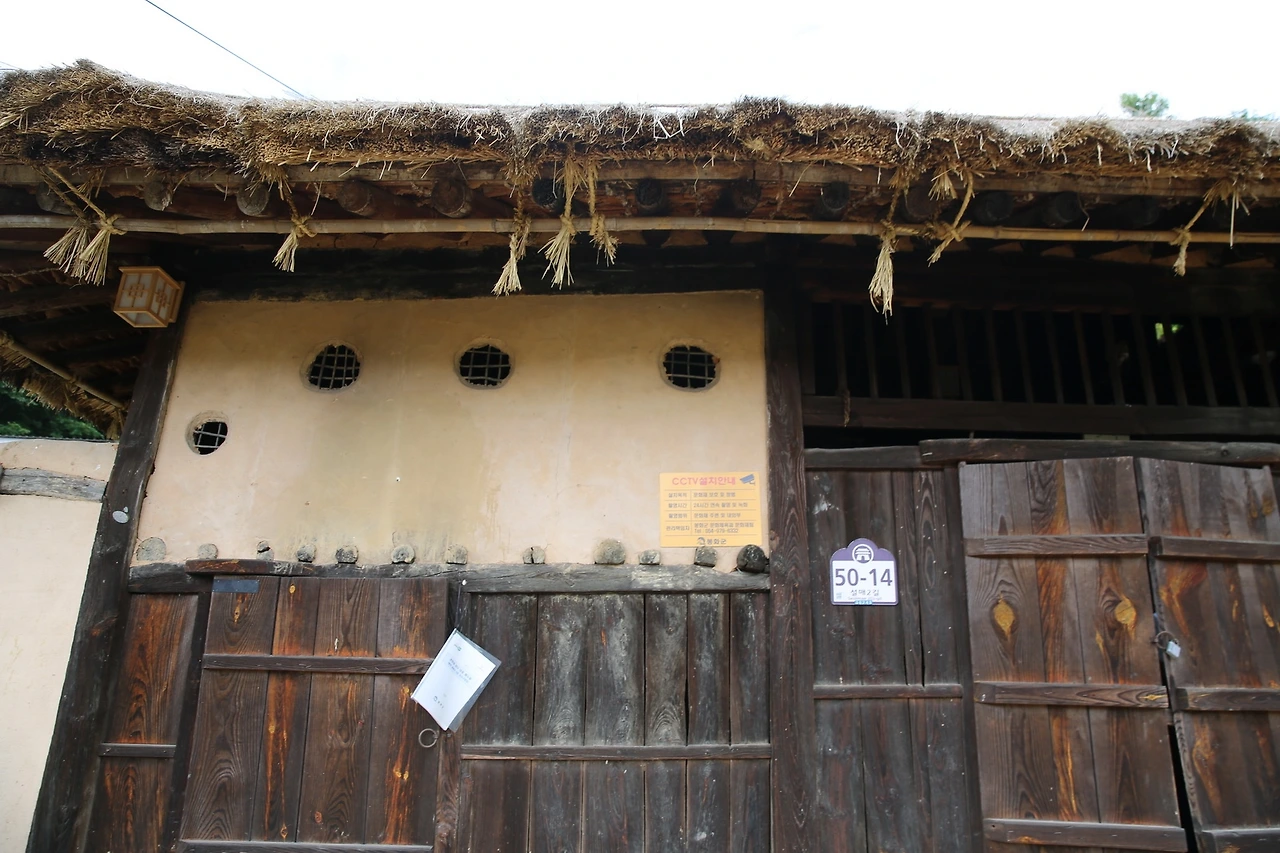 MG0A0463_новый размер.JPG