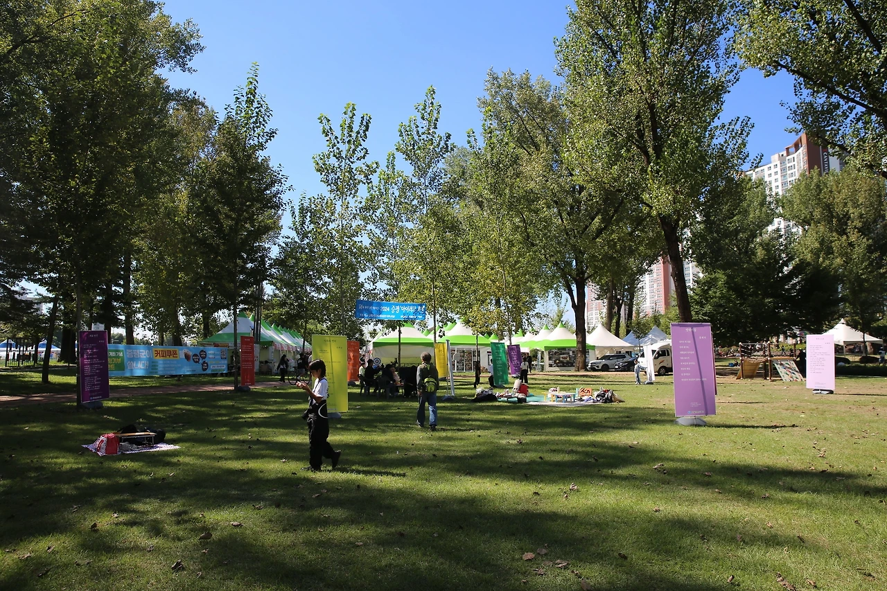 MG0A2319_новый размер.JPG