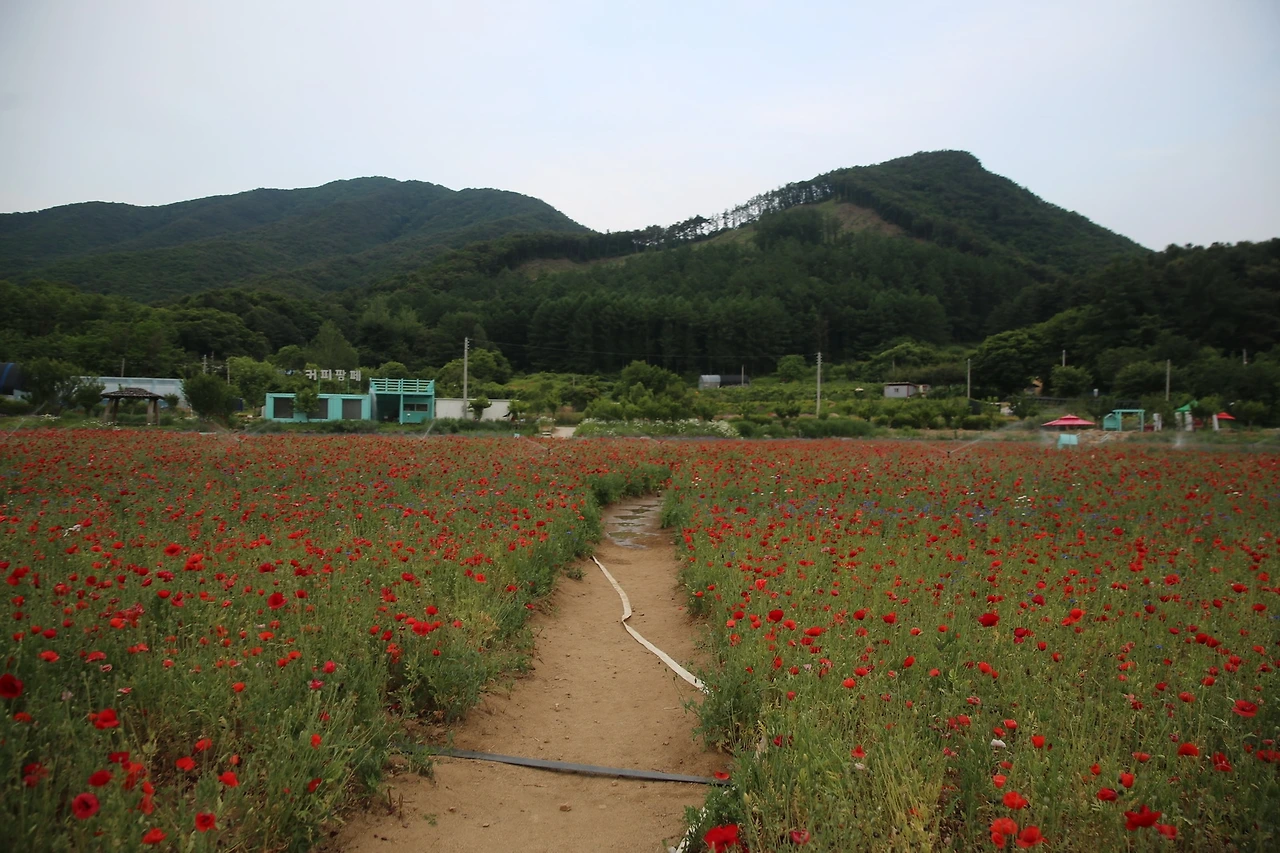 MG0A1181_новый размер.JPG