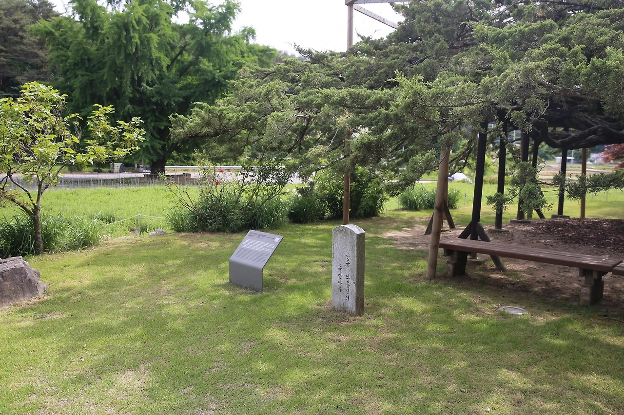 MG0A9645_новый размер.JPG