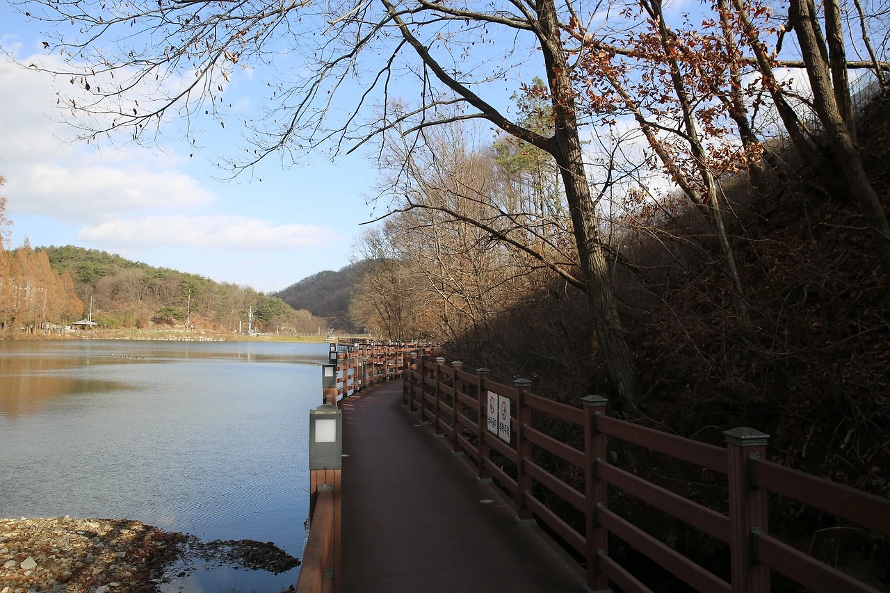 MG0A3675_новый размер.JPG