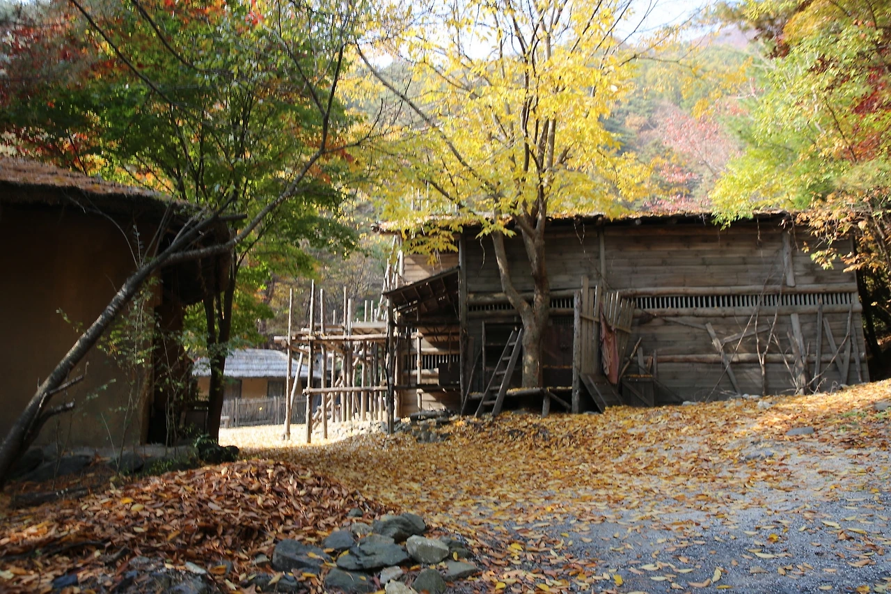 MG0A8008_новый размер.JPG