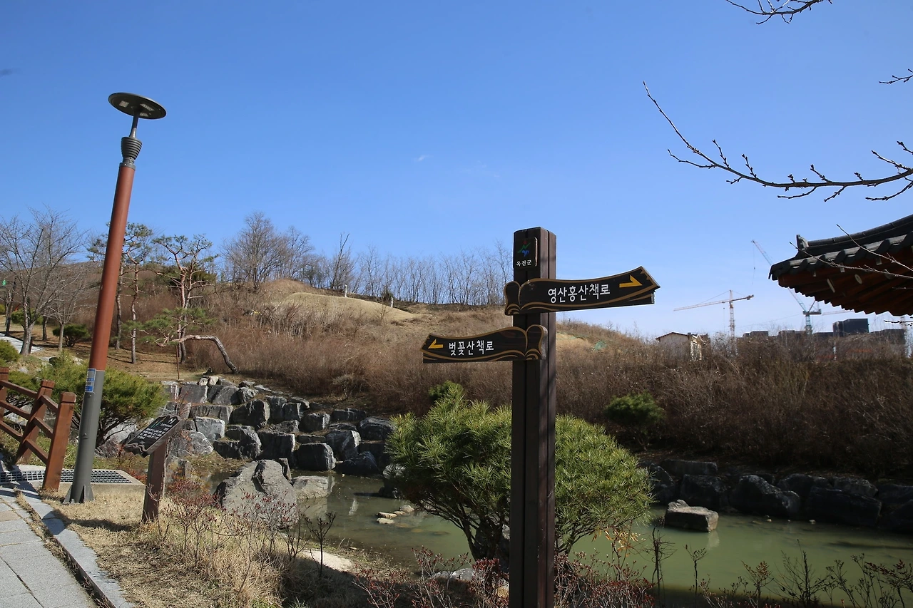 MG0A1834_новый размер.JPG