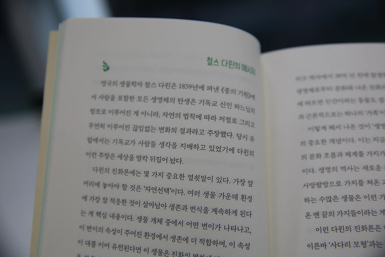 MG0A6761_новый размер.JPG