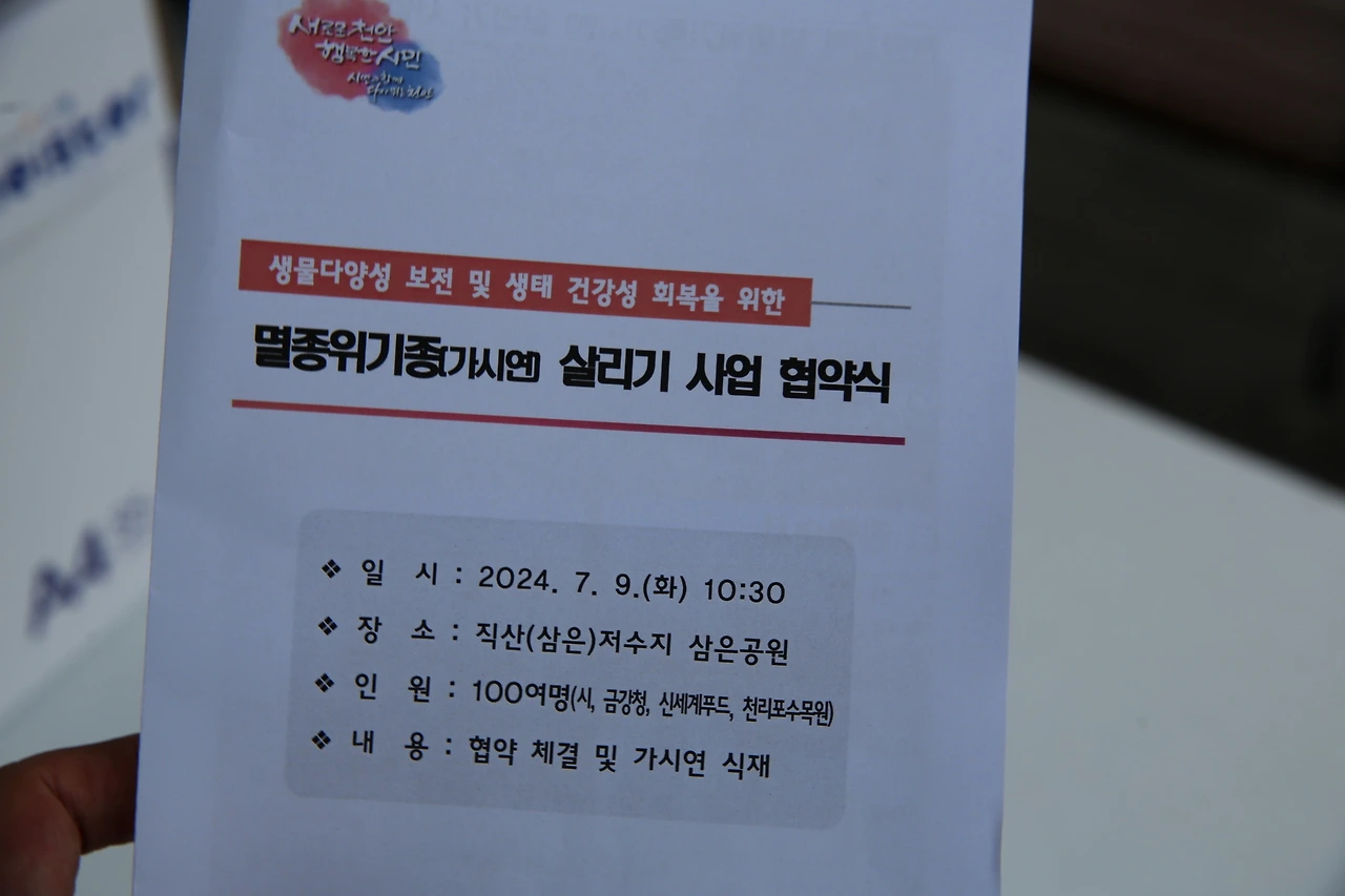 MG0A2472_новый размер.JPG