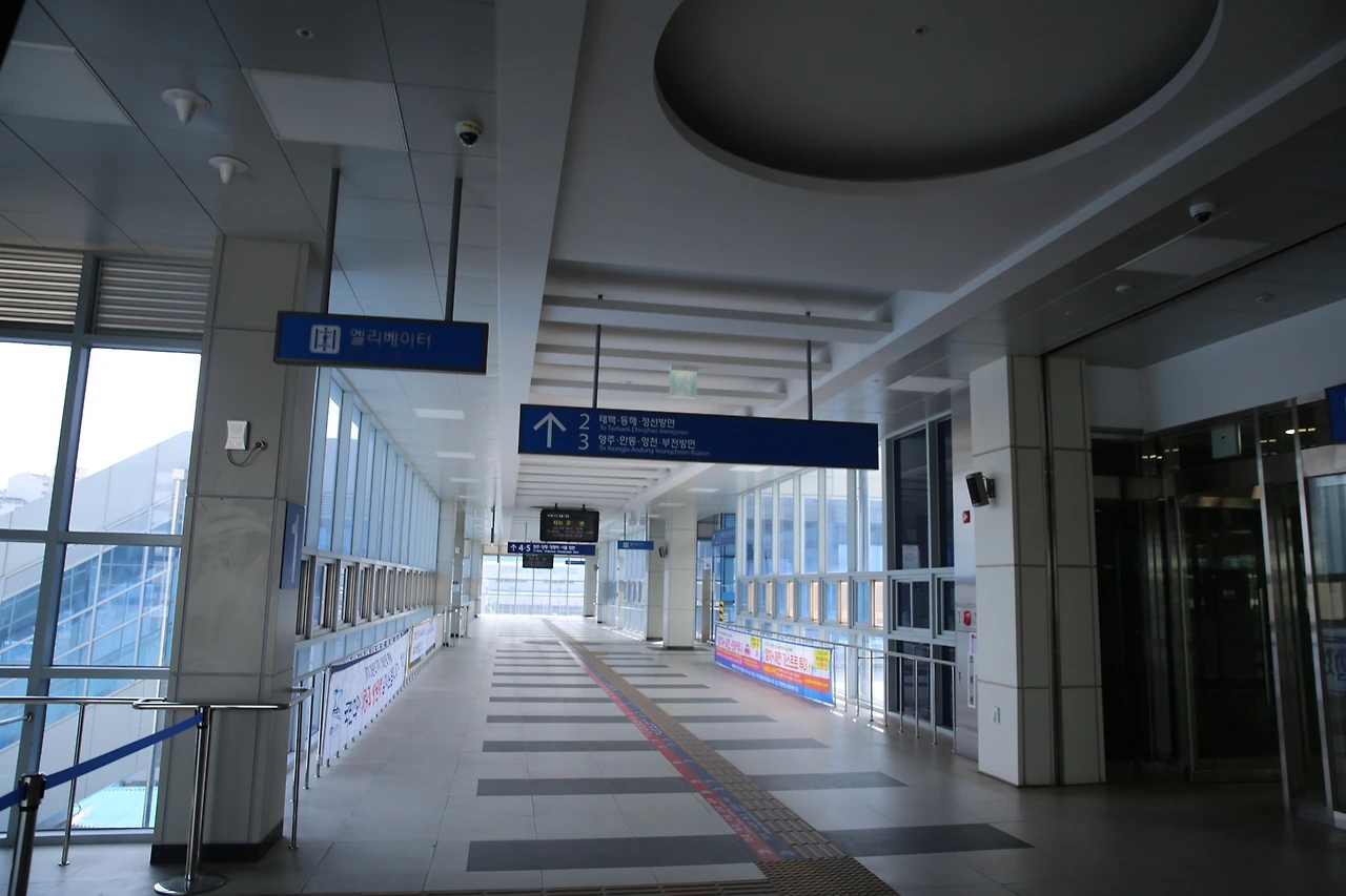 MG0A0227_новый размер.JPG