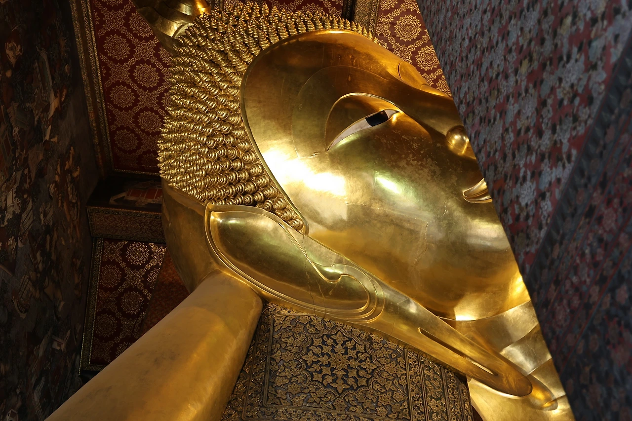 0R5A0493_новый размер.JPG