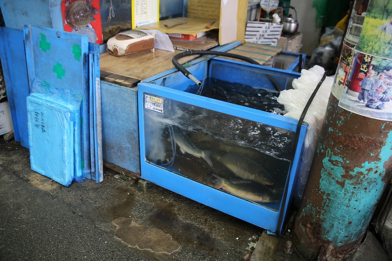 MG0A8872_новый размер.JPG