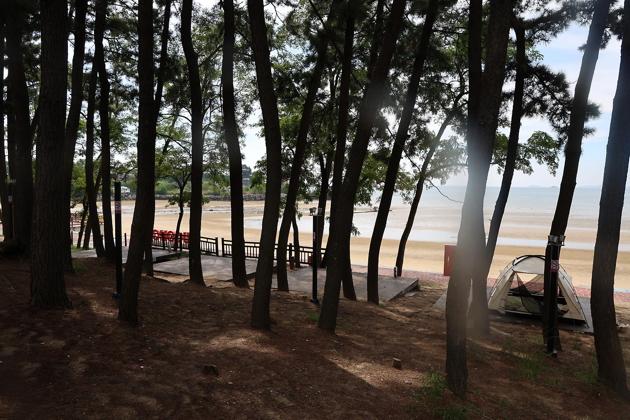 0R5A4415_новый размер.JPG