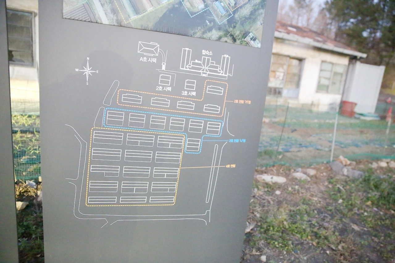 MG0A2321_новый размер_exposure.JPG