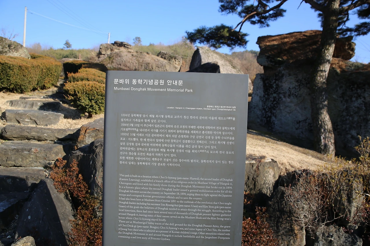 MG0A6049_новый размер.JPG