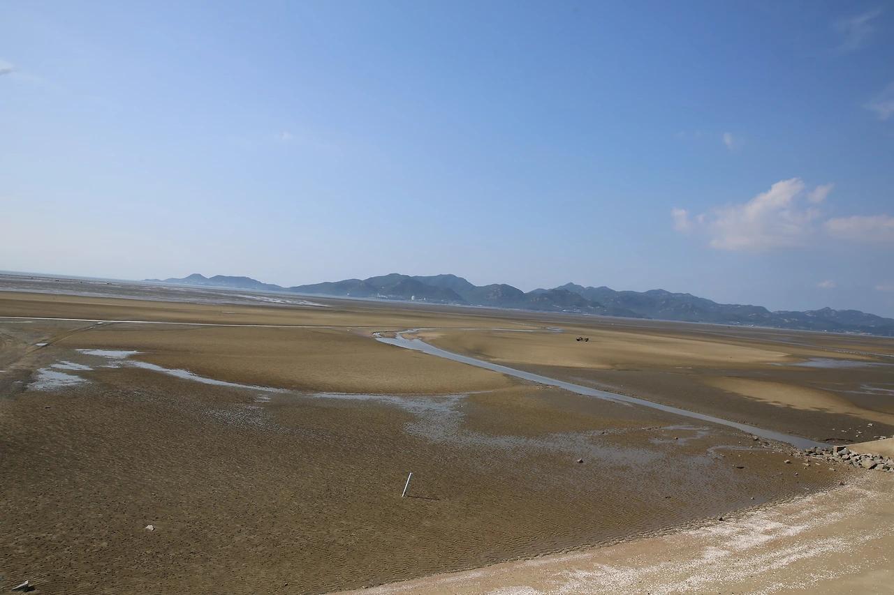 MG0A4627_новый размер.JPG