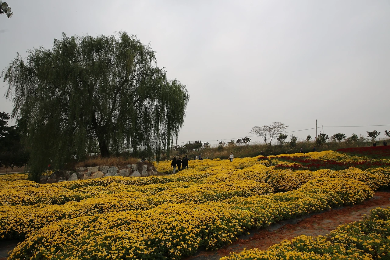 MG0A9678_новый размер.JPG