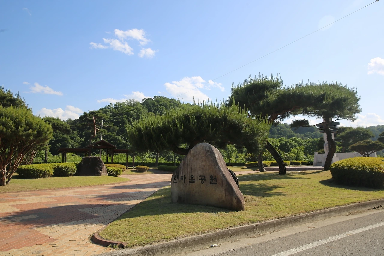 MG0A9487_новый размер.JPG