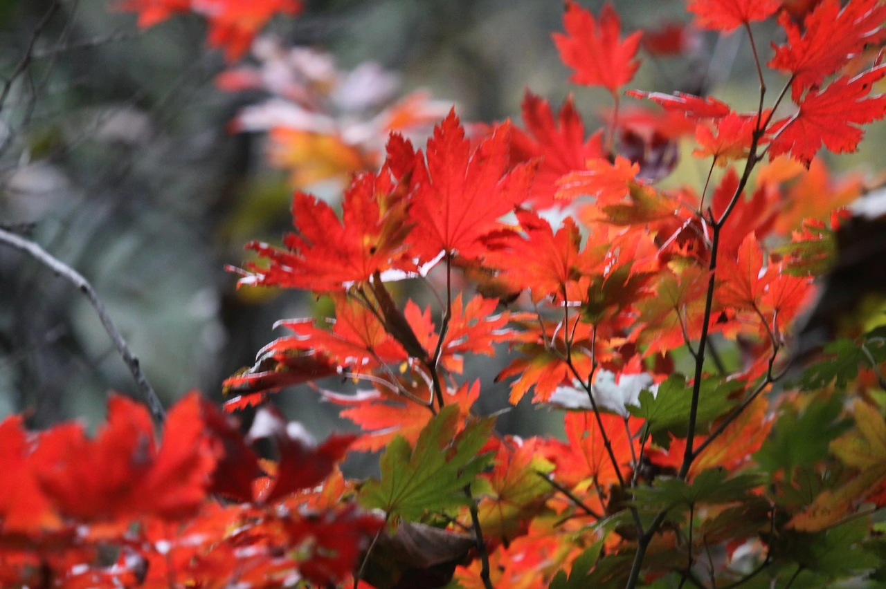 IMG_3934_resize - 복사본.JPG