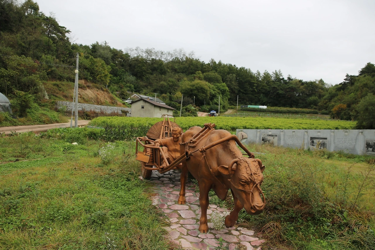 MG0A6390_новый размер.JPG