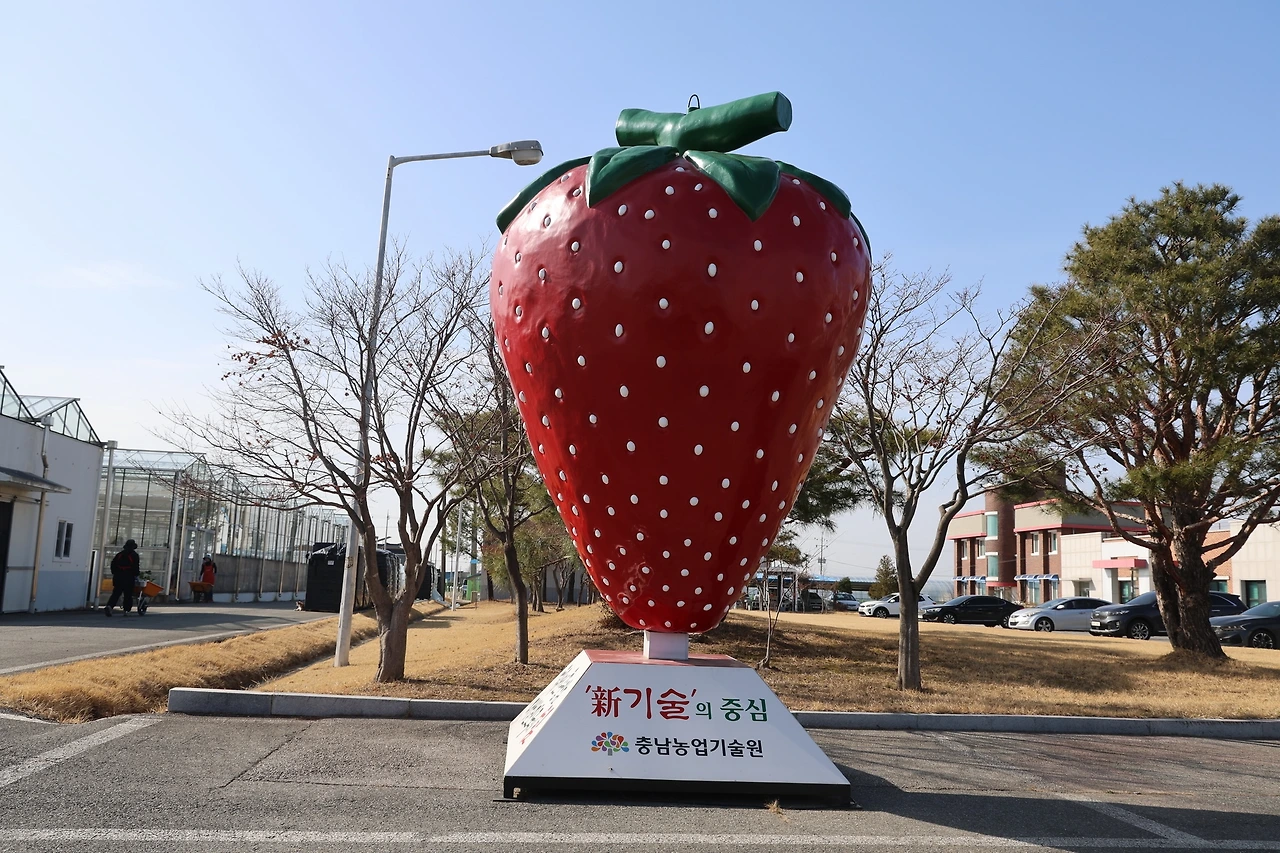 0R5A2680_новый размер.JPG