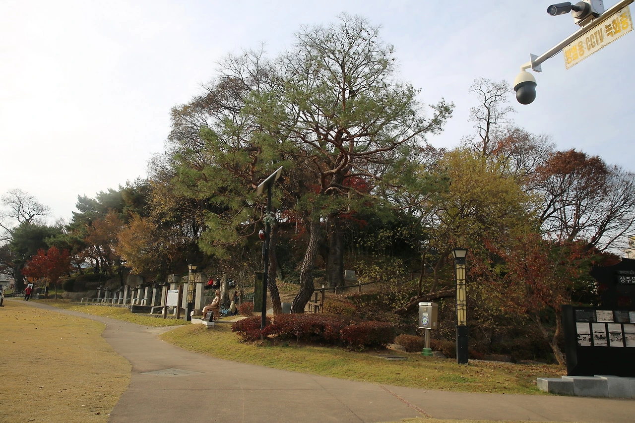 MG0A1746_новый размер.JPG