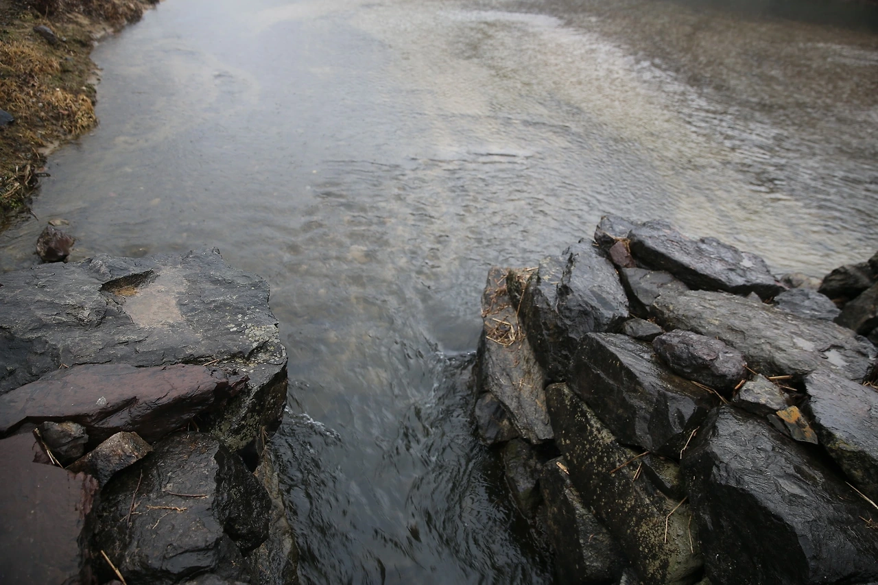 MG0A6173_новый размер.JPG