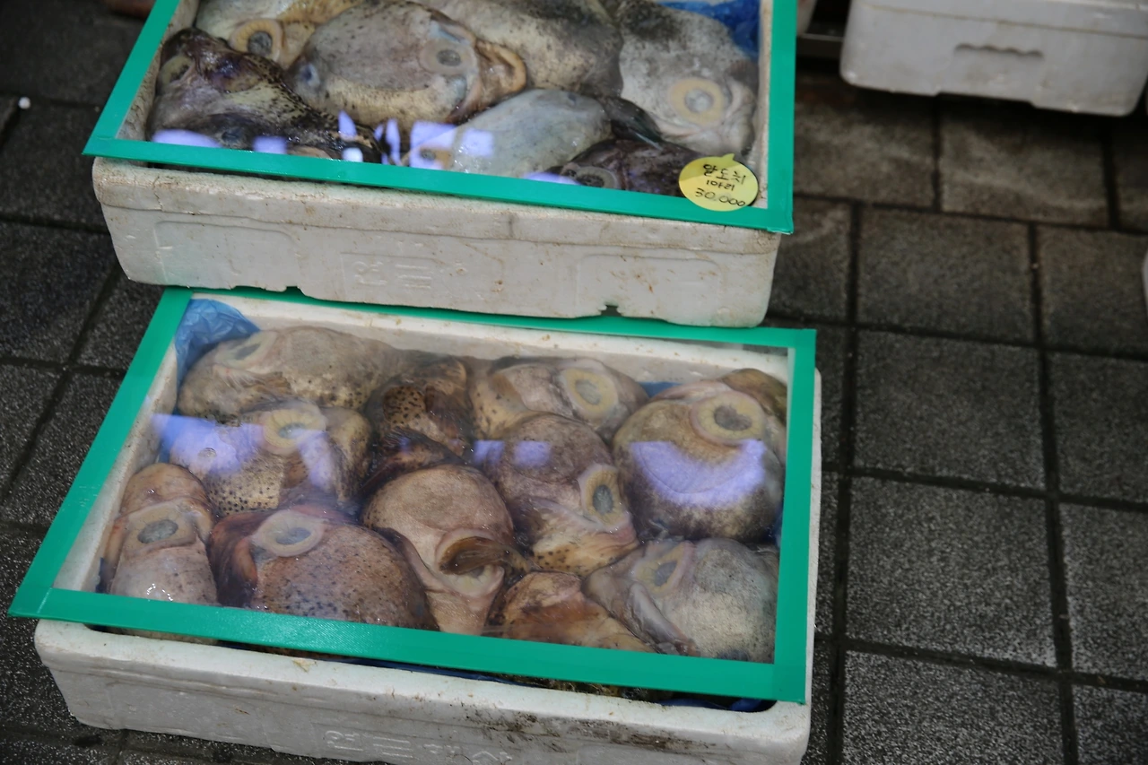 MG0A4774_новый размер.JPG