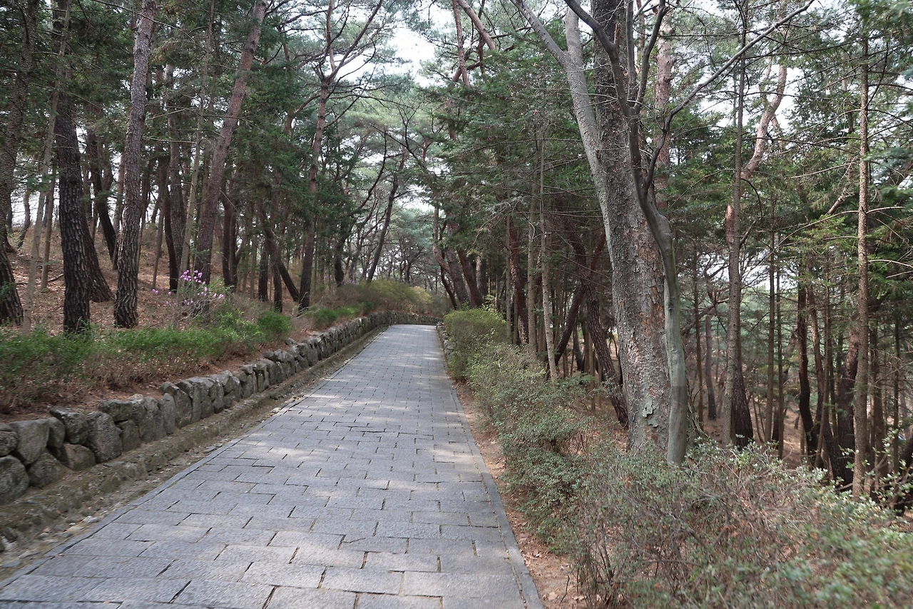 0R5A4700_новый размер.JPG