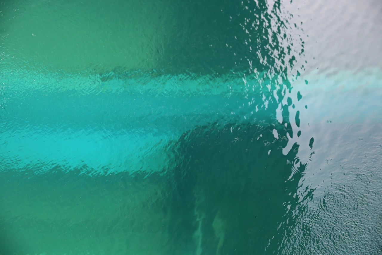 MG0A8082_новый размер.JPG