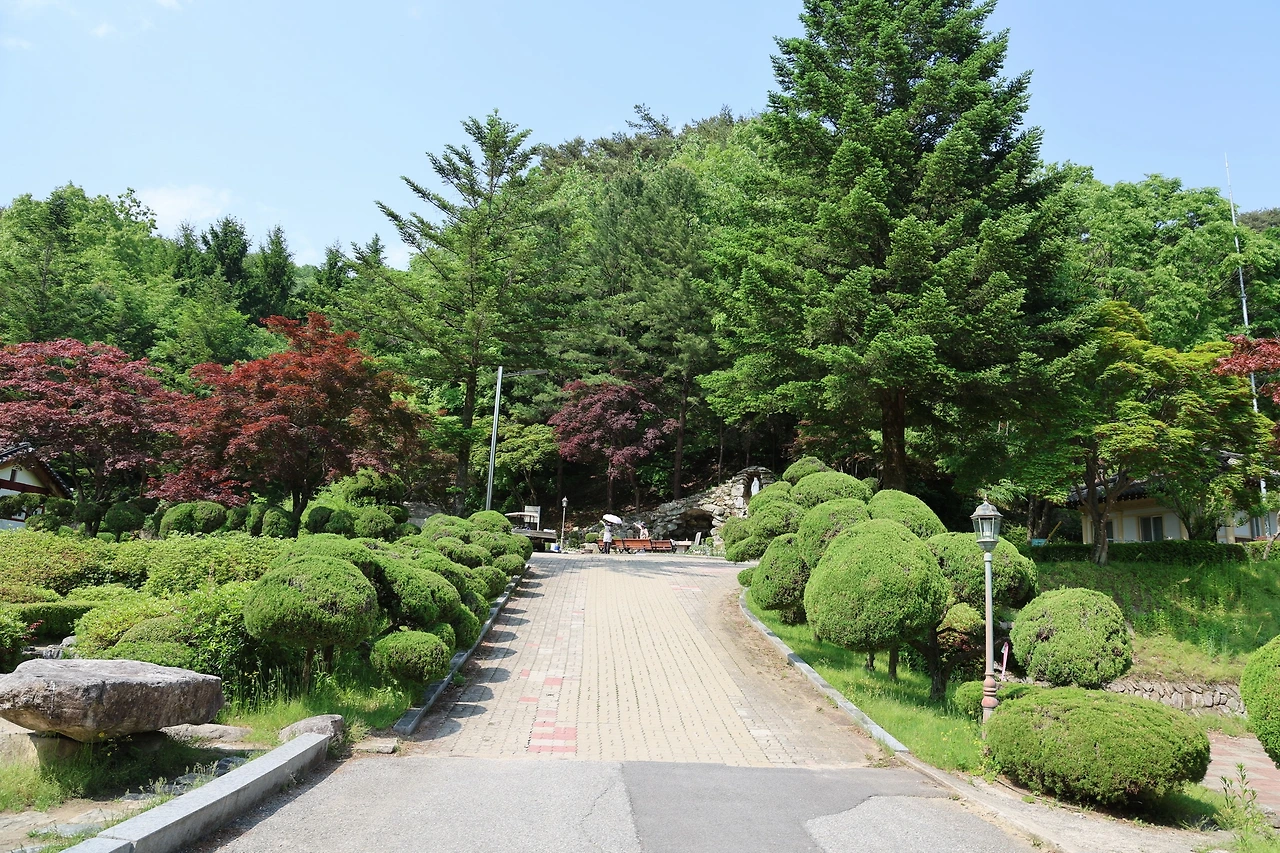 0R5A1478_новый размер.JPG