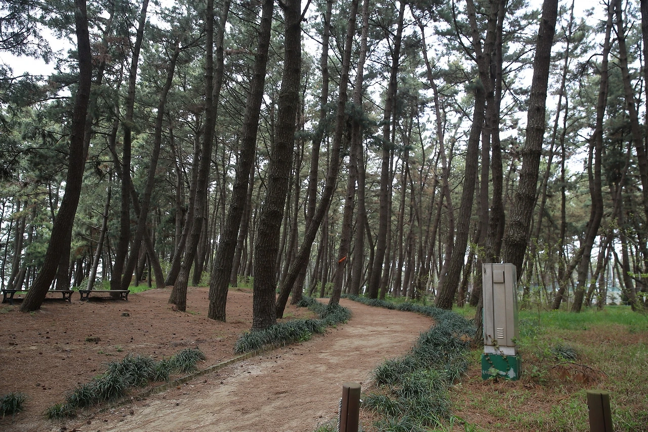 MG0A0545_новый размер.JPG