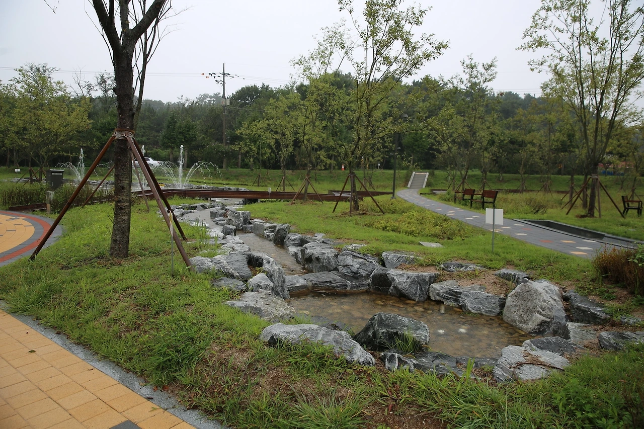 MG0A1753_новый размер.JPG