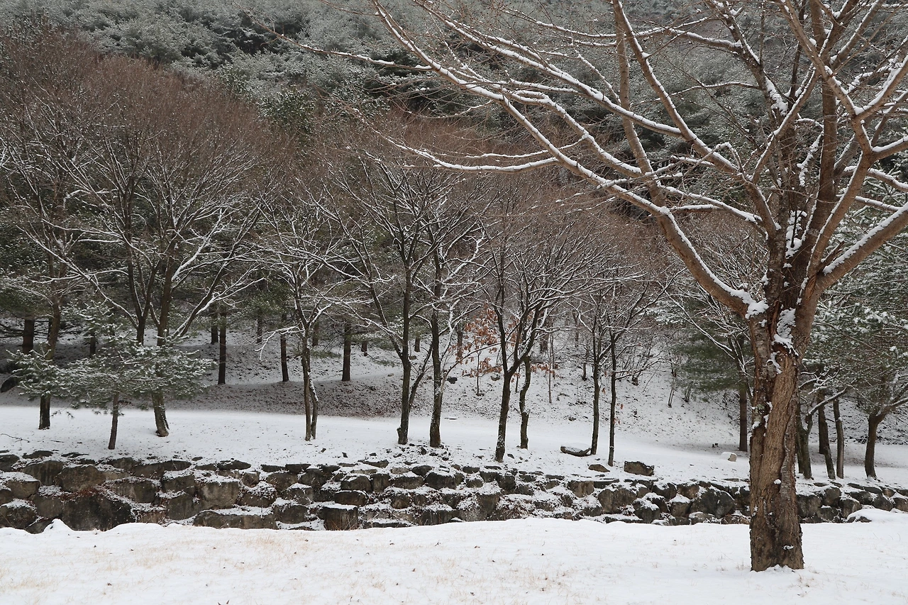 0R5A3153_новый размер.JPG