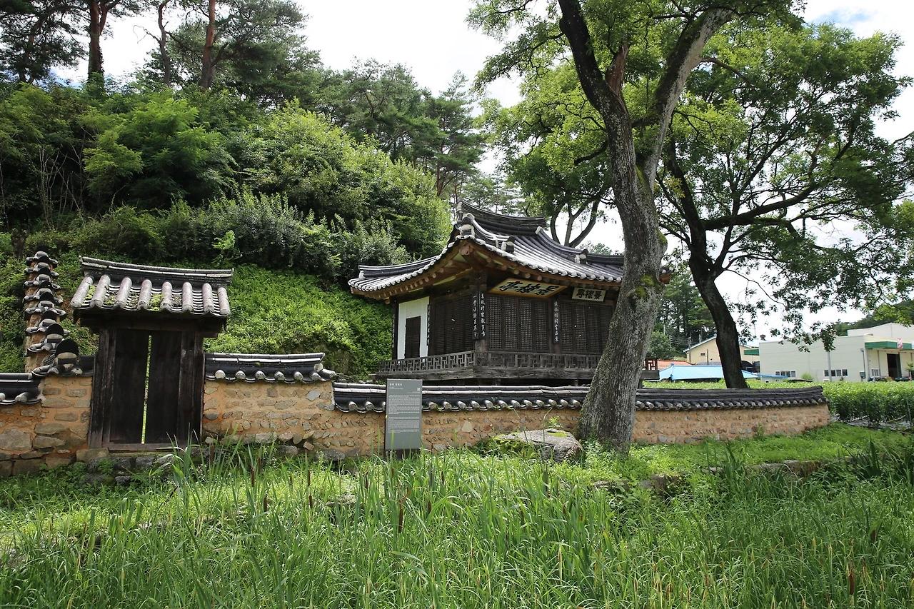 MG0A6656_новый размер.JPG