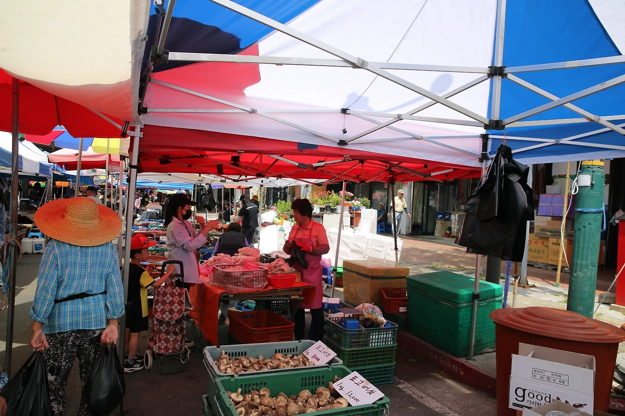 MG0A6138_новый размер.JPG