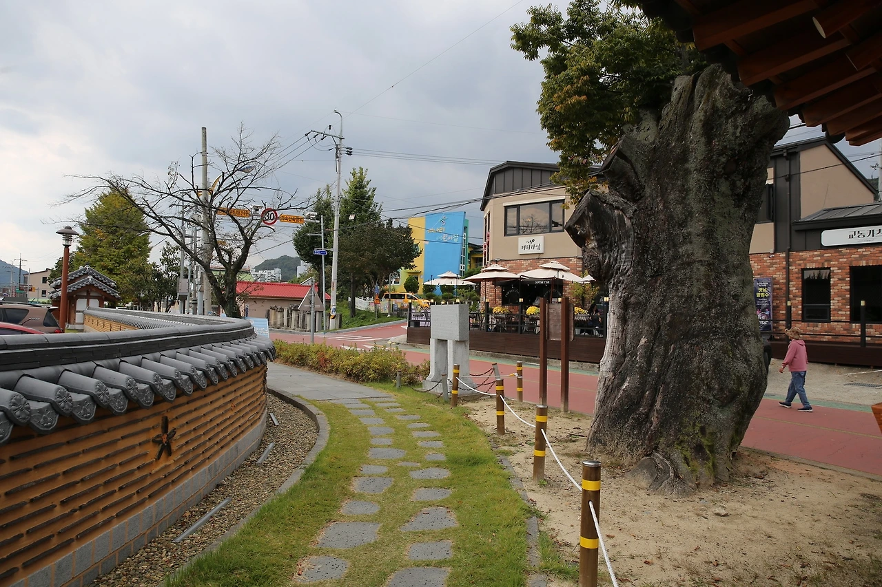 MG0A6478_новый размер.JPG