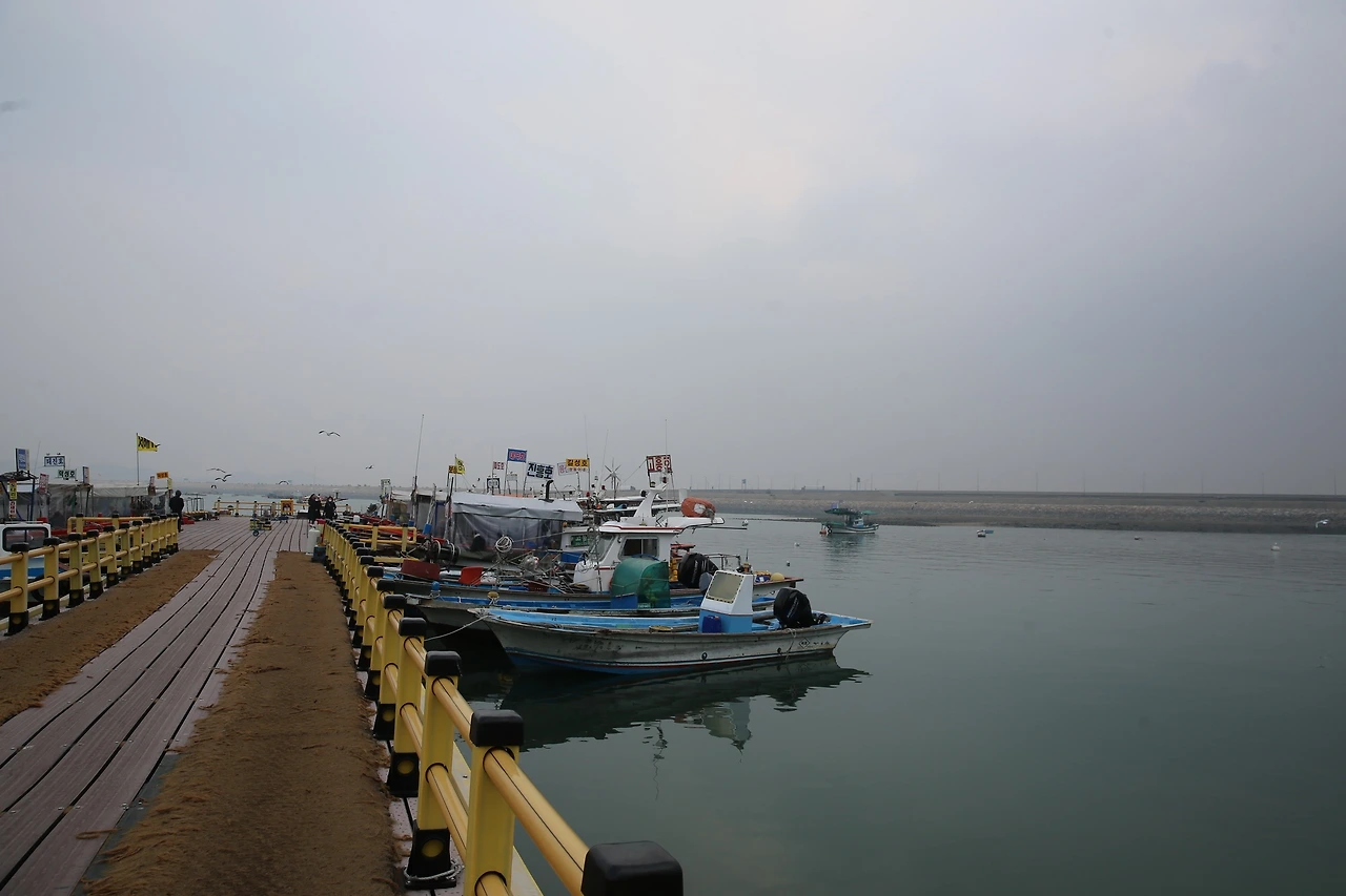 MG0A6846_новый размер.JPG