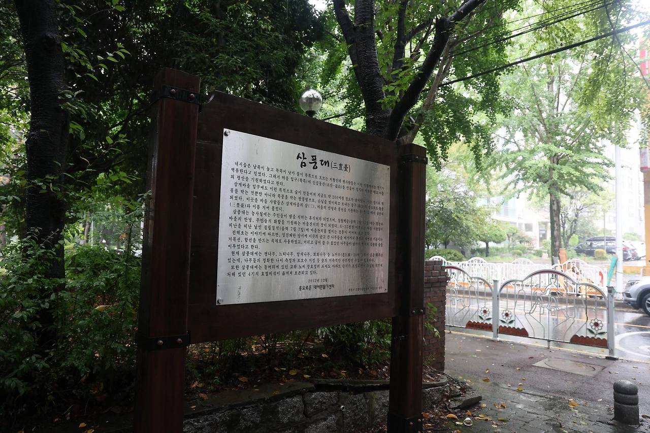 0R5A1449_новый размер.JPG